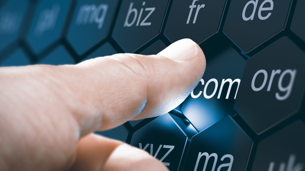 domain trust signals