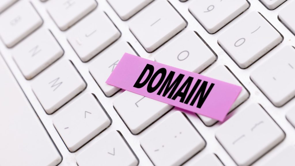 ICANN domain disputes